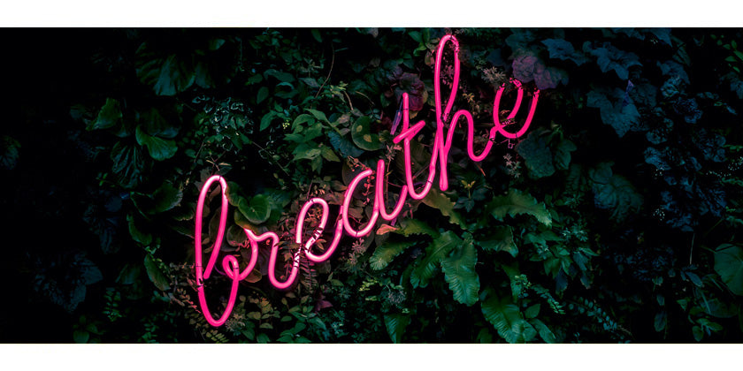 Nasya – die ayurvedische Nasenreinigung und Pflege der Nasenschleimhäute