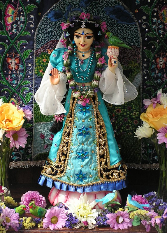 Tulasi devi die Göttin des heiligen Basilikum