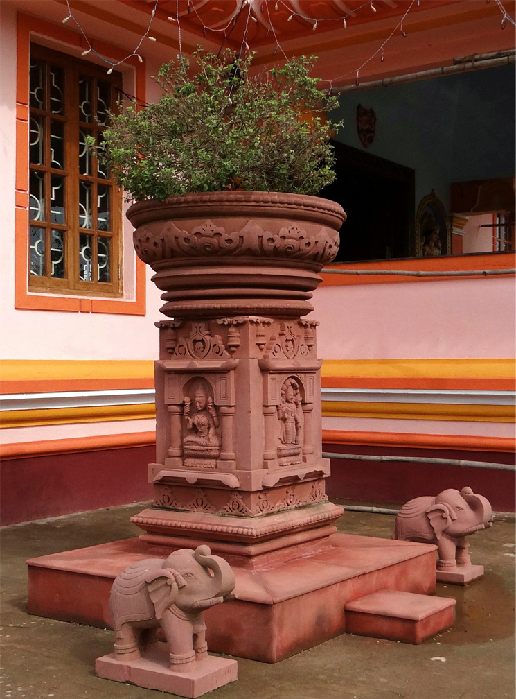 heiliges Basilikum Tulsi in einem Tempel