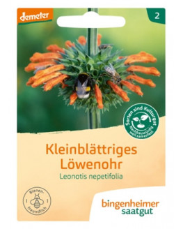 Bingenheimer - Saatgut Kleinblättriges Löwenohr