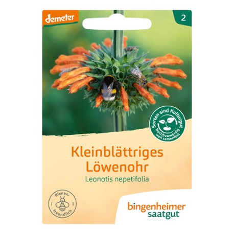 Bingenheimer - Graines Oreille de Lion à petites feuilles