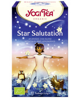 Yogi Tea - Salutation aux Étoiles Bio - 17 sachets de thé