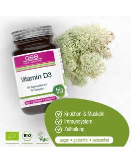 GSE - Vitamine D3 Compacte (Bio) - 60 Comprimés