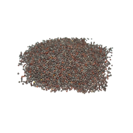 Miraherba Orgánico, semillas de Mostaza, negro - 100g