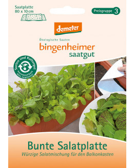 Bing Heimer - Seed Colorful Salad Plate, Seed Plate