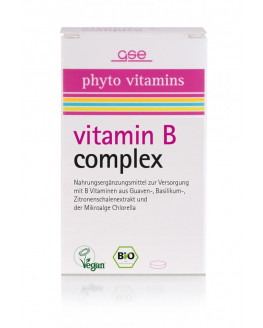GSE - Bio Vitamin B Complex - 60 Tabletten