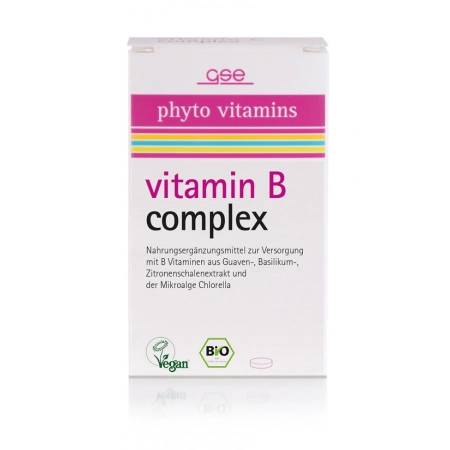 GSE - Bio Vitamin B Complex - 60 Tabletten