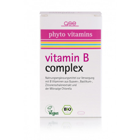 GSE - Bio Vitamin B Complex - 60 tablets