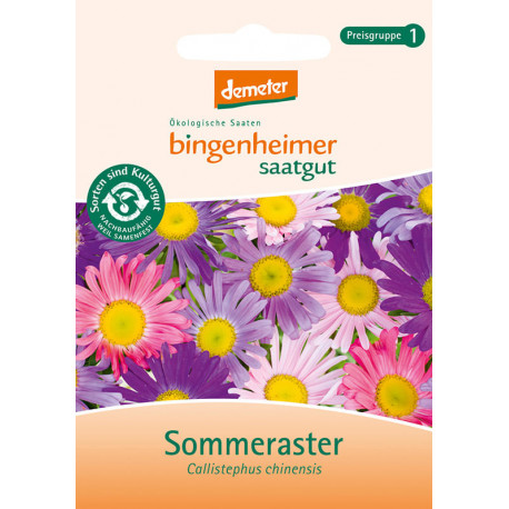 Bingenheimer De Semillas Sommeraster | Miraherba Bio Jardín