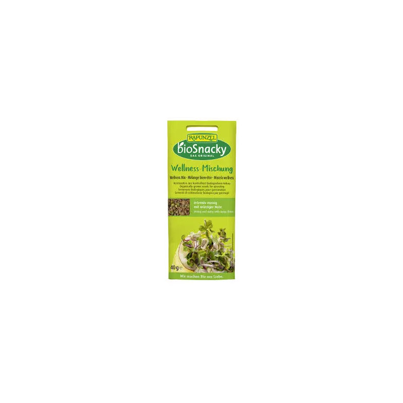 A. Vogel bioSnacky Wellness-blend - 40g