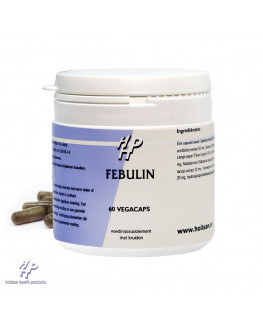 Holisan - Fébuline - 60 gélules