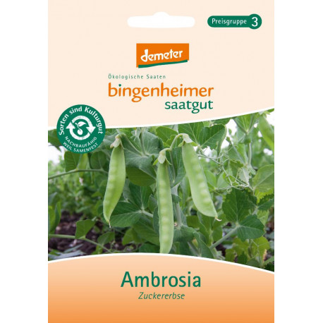 Bingenheimer Semi - Zuckererbse Ambrosia | Miraherba Piante