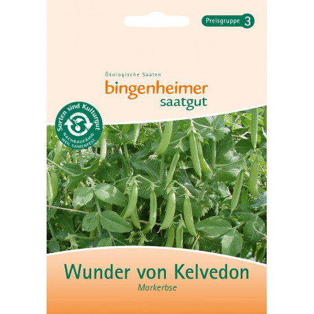 Bingenheimer Saatgut - Erbse Wunder von Kelvedon | Miraherba Pflanzen