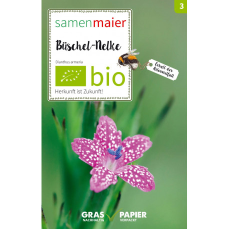 Samen Maier - Bio Büschelnelke | Miraherba Pflanzen