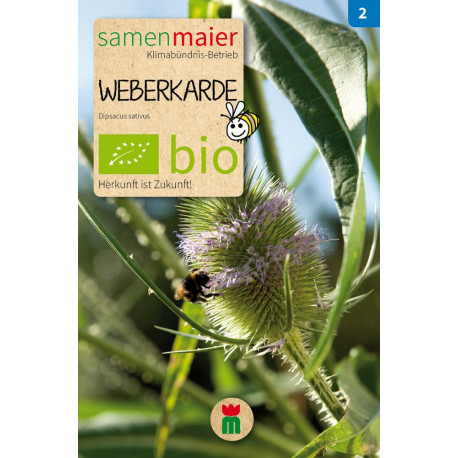 Samen Maier - Bio Weberkarde | Miraherba Pflanzen