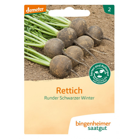 Bingenheimer Saatgut - Rettich runder Winter | Miraherba Pflanzen