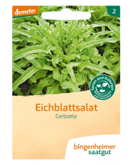 Bingenheimer Saatgut - Eichblattsalat Cerbiatta | Miraherba Pflanzen