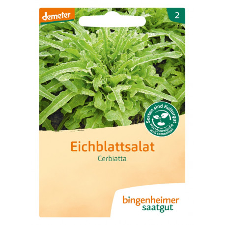 Bingenheimer Saatgut - Eichblattsalat Cerbiatta | Miraherba Pflanzen