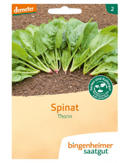 Bingenheimer Saatgut - Espinacas Thorin | plantas de miraherbas