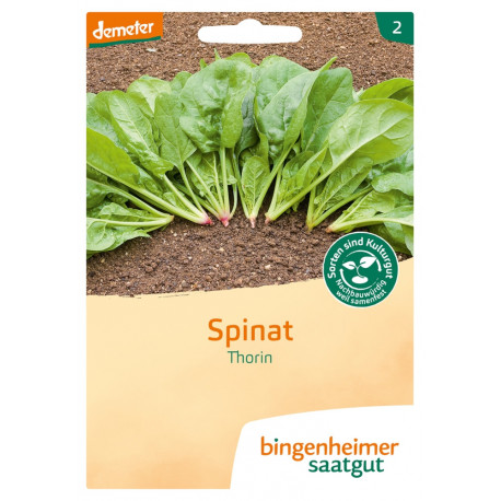 Bingenheimer Saatgut - Spinat Thorin | Miraherba Pflanzen