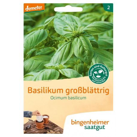 Bingenheimer Saatgut - Basilikum Saatscheiben | Miraherba Pflanzen