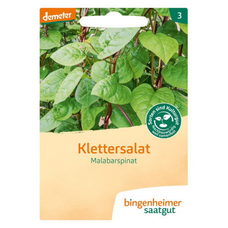 Bingenheimer seed - climbing lettuce | Miraherbas plants