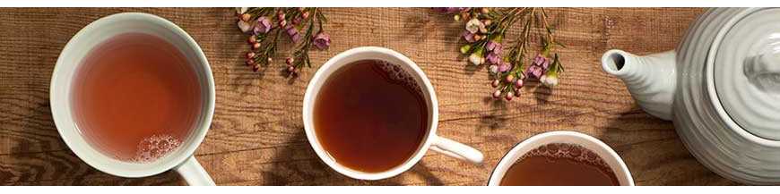 Teebeutel: Tee wirkt stabilisierend und harmonisierend auf den menschlichen Organismus