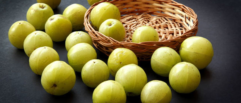 Amla - Frucht der ewigen Jugend