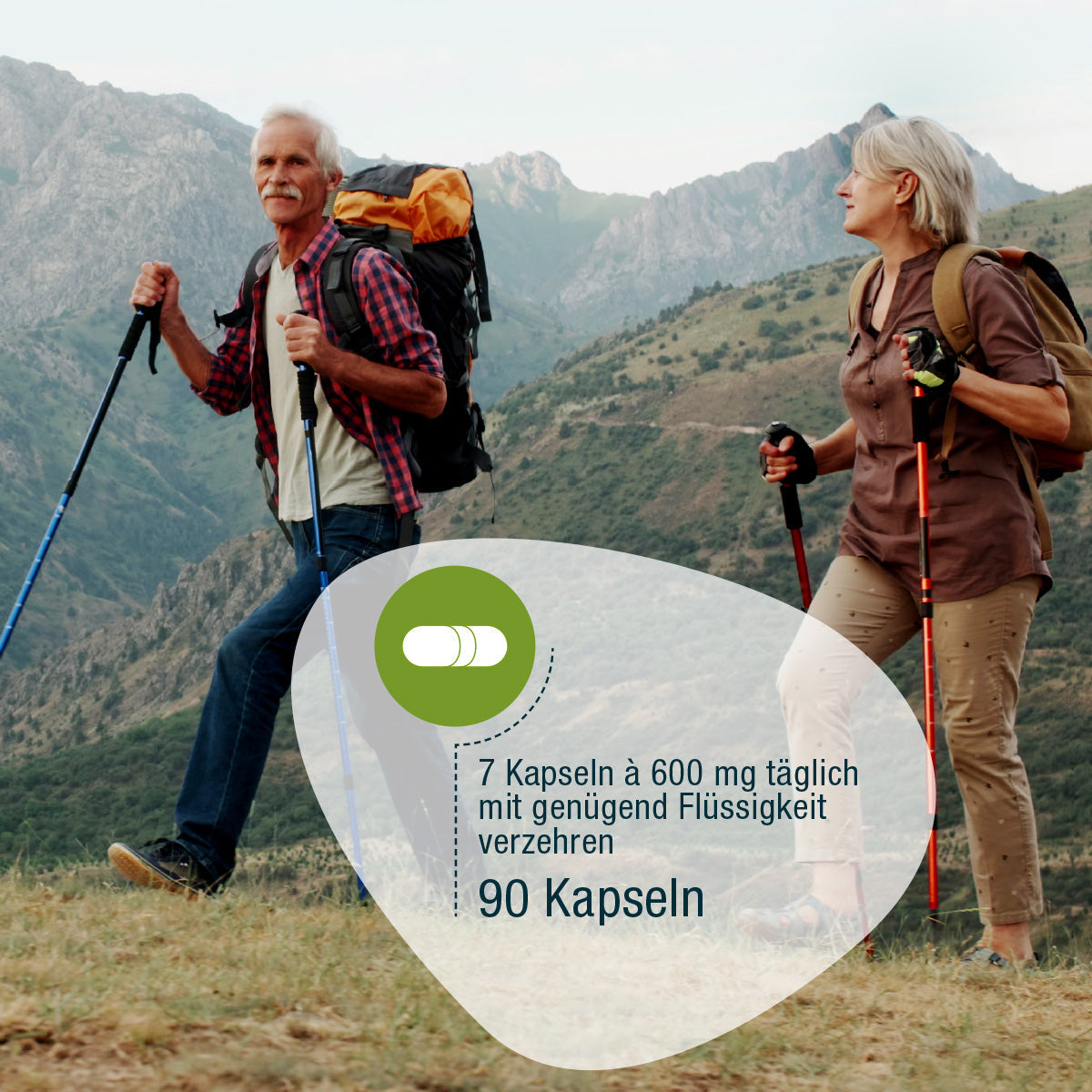 GSE - Omega 3 Perillaöl Kapseln (Bio)