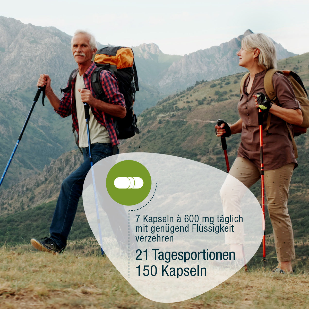 GSE - Omega 3 Perillaöl Kapseln (Bio)