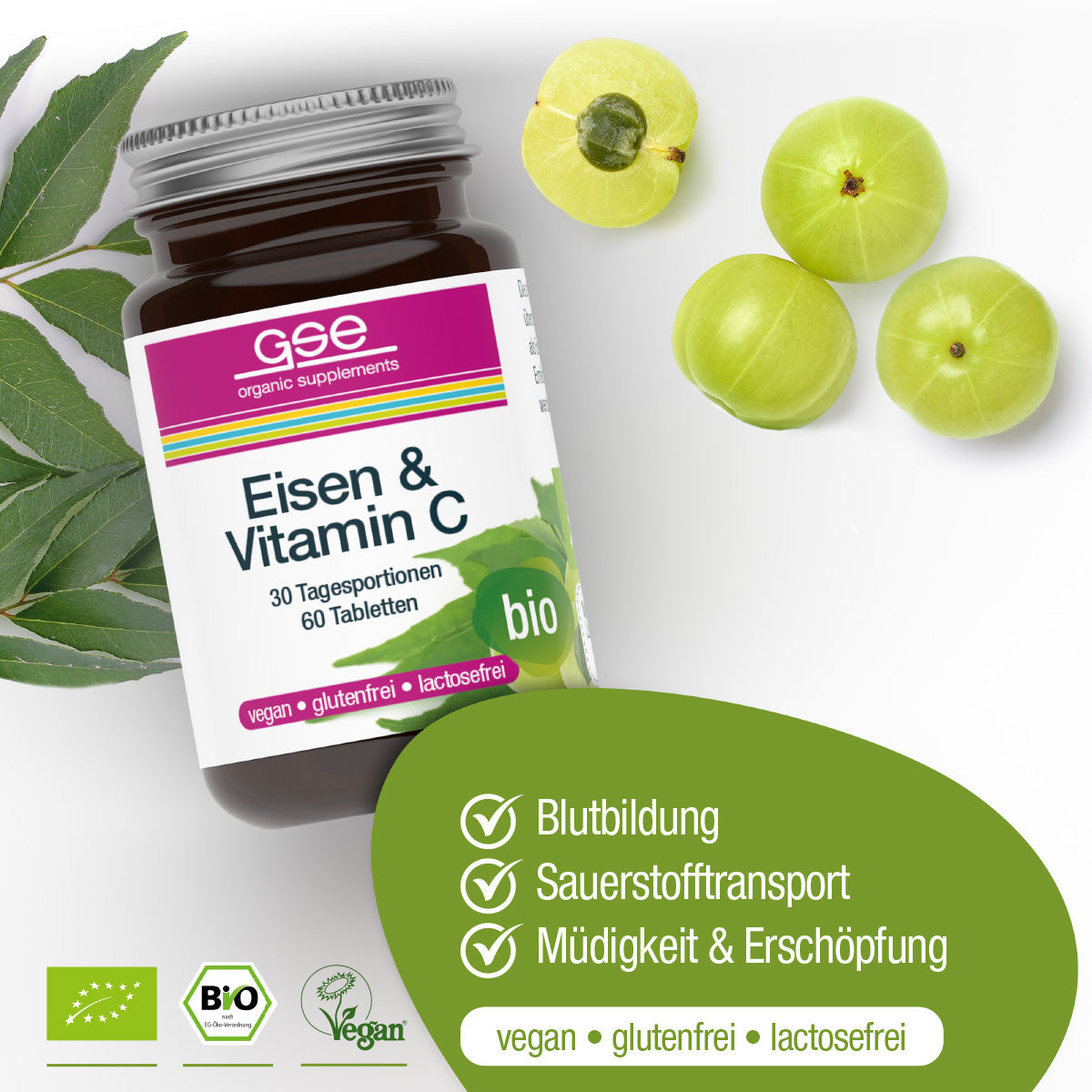 GSE - Bio Eisen & Vitamin C (Bio)