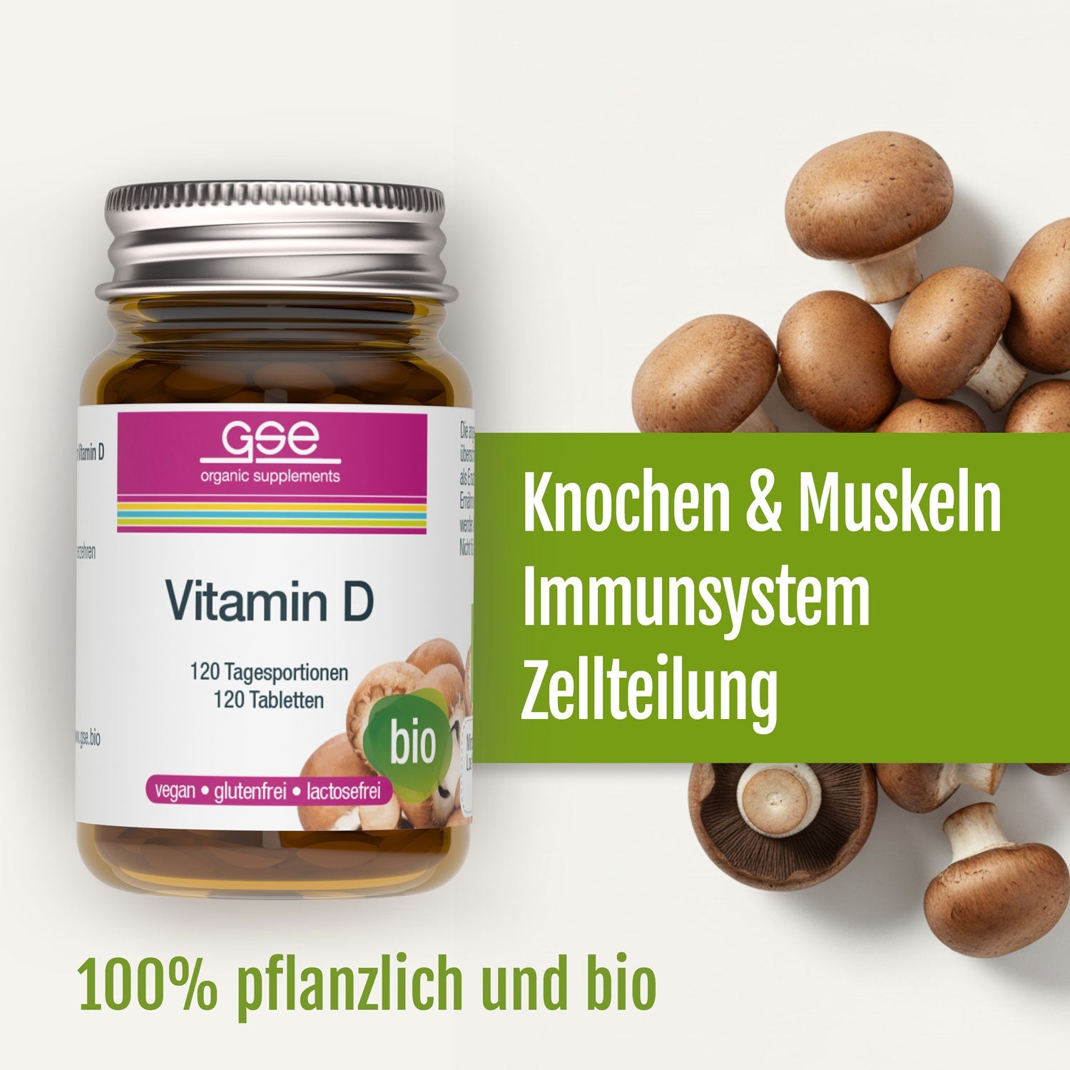 GSE - Bio Vitamin D - 120 Tablets