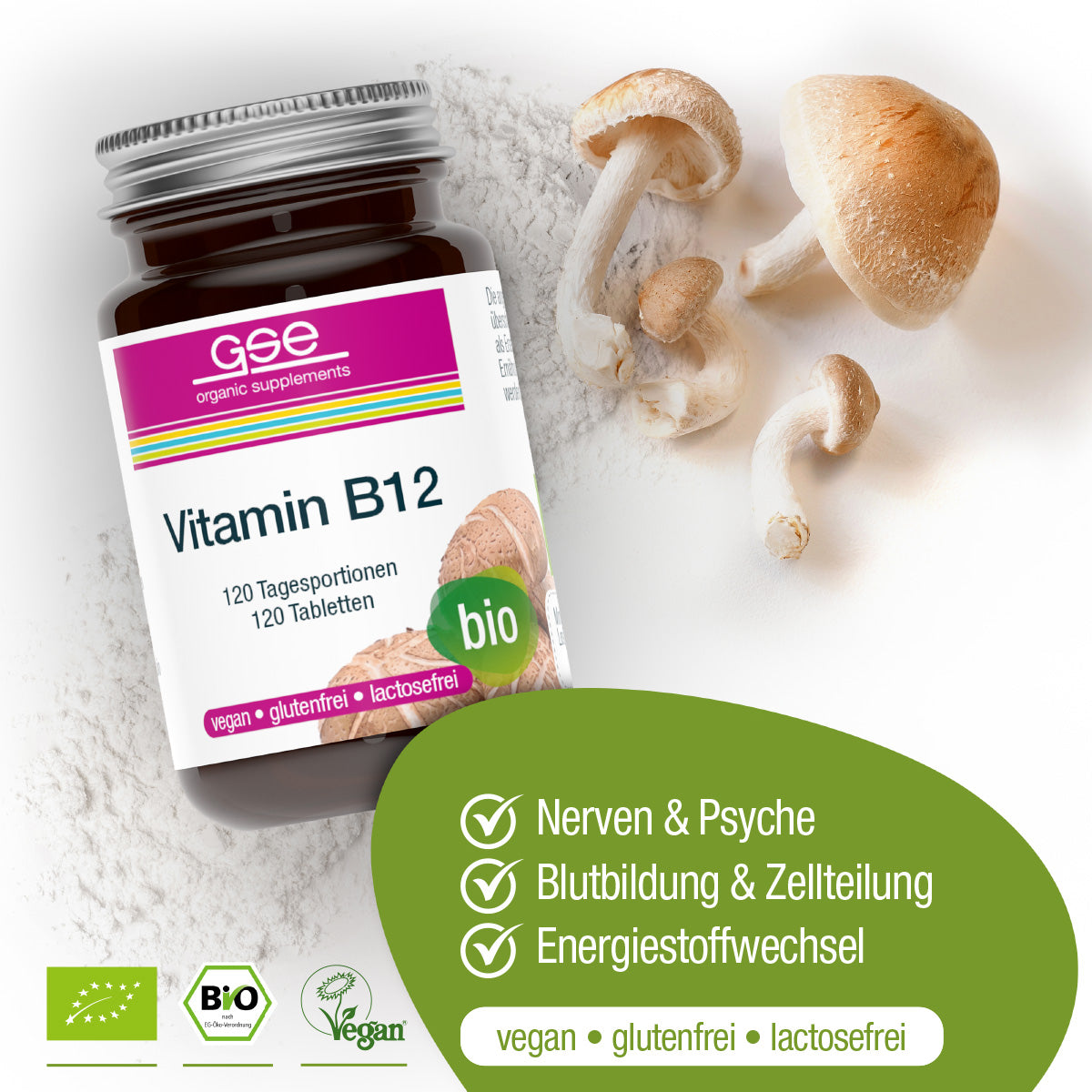 GSE - Vitamin B12 (Bio)