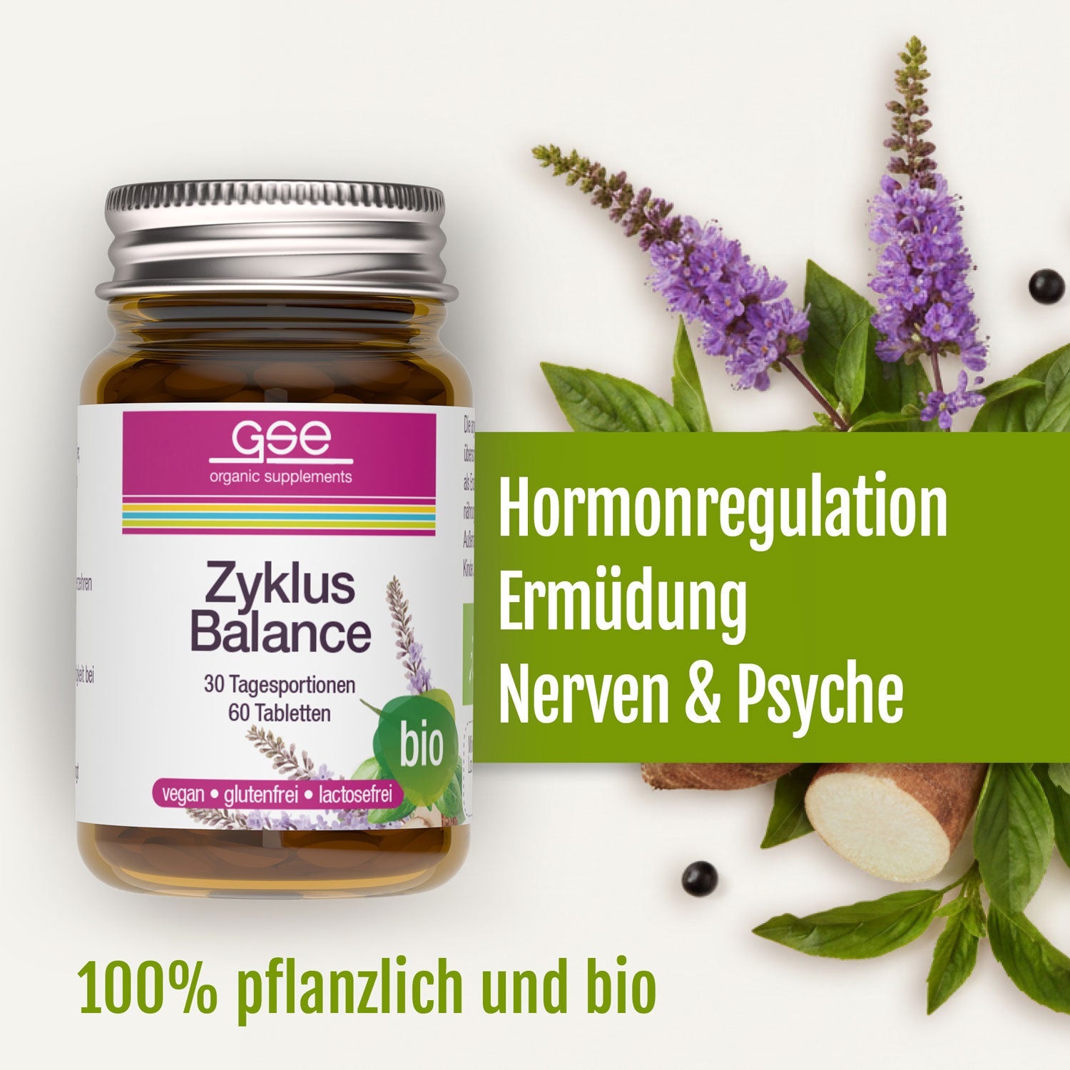 GSE - Zyklus Balance (Bio)