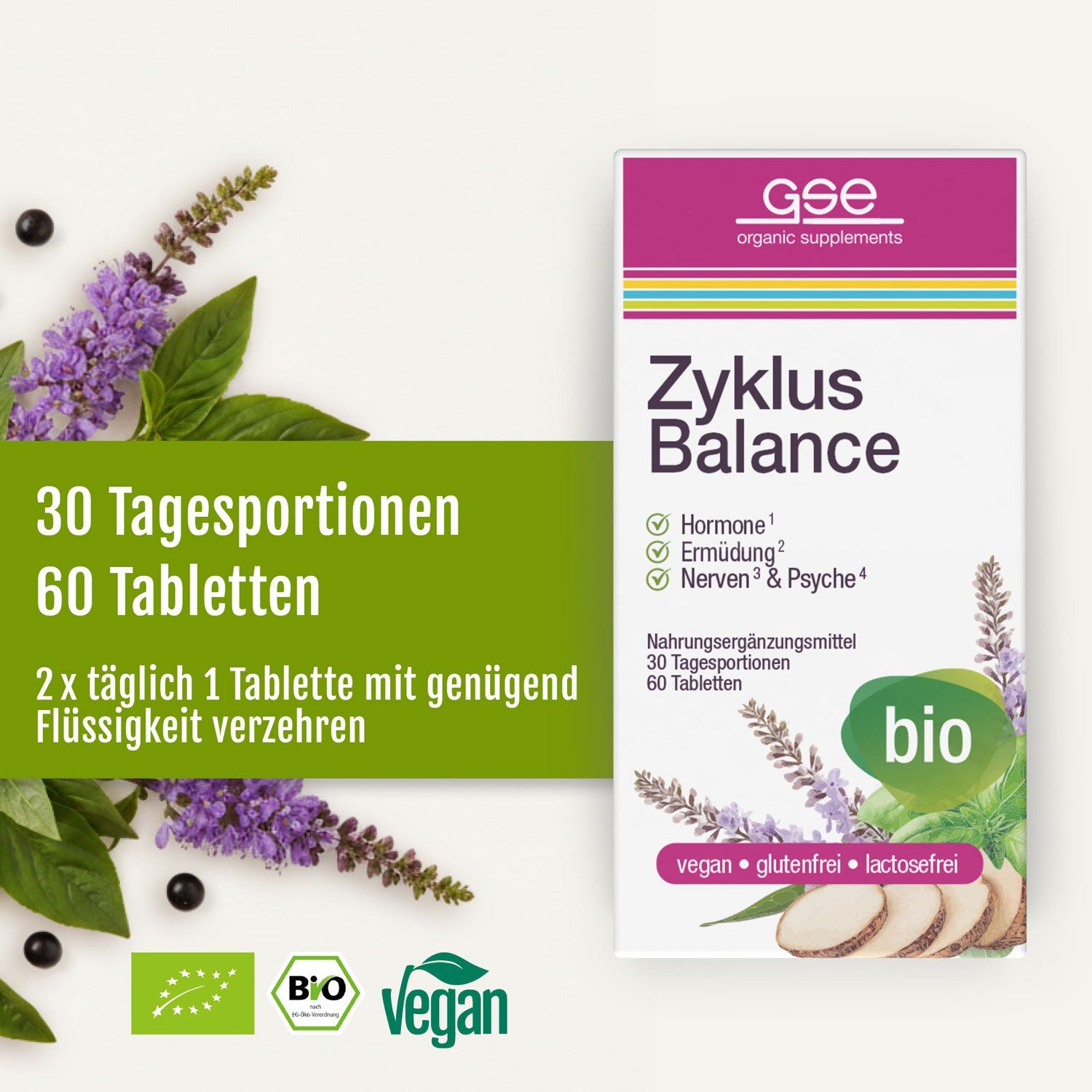 GSE - Zyklus Balance (Bio)