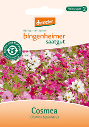 Bingenheimer Saatgut - Cosmea_4750.jpg