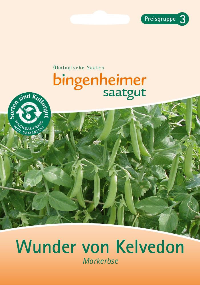 Bingenheimer Saatgut - Erbse Wunder von Kelvedon - 35g_6301.jpg