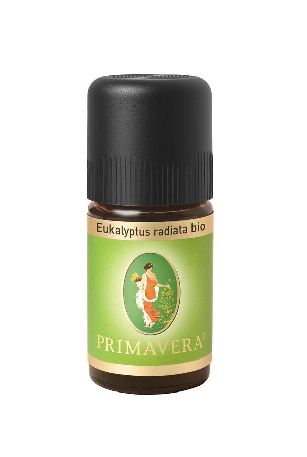 Primavera - Eukalyptus radiata bio - 5ml_11982.jpg
