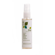 lenz - Spray Desodorante para Hombres Ciruela Silvestre Lúpulo