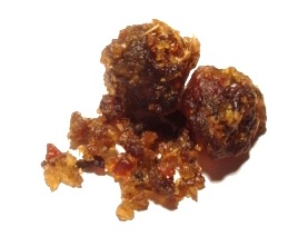 Guggul, das Harz von Commiphora wightii