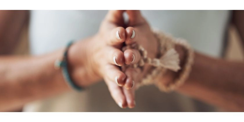 Anleitung 14-Tage-Rasayana-Reset